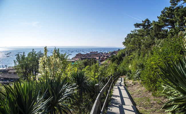 Bassin d'Arcachon