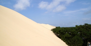 Mes vacances en camping sur la presqu’île de Lège-Cap Ferret