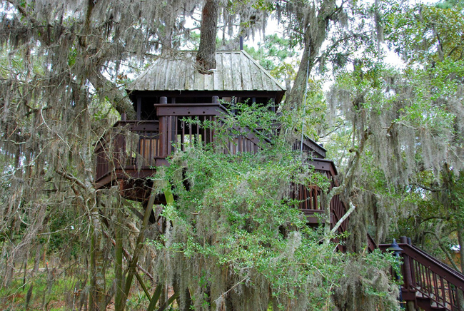 cabane dans les arbres