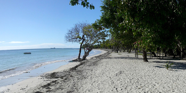 Martinique ou Guadeloupe pour des vacances dans les Antilles françaises ? 