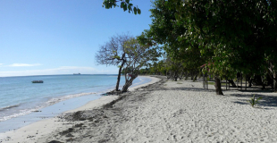 Martinique ou Guadeloupe pour des vacances dans les Antilles françaises ?