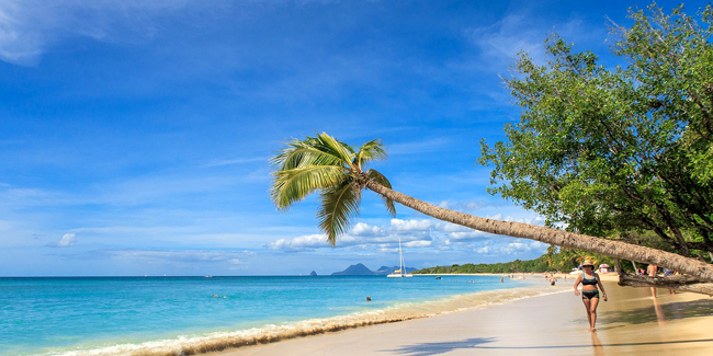 Organiser soi-même son séjour en Martinique: une bonne idée ?